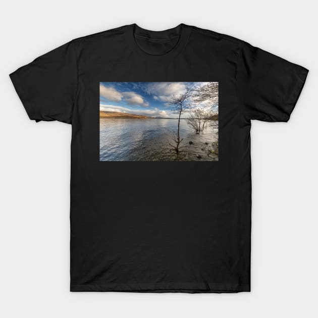 Loch Lomond T-Shirt by Reg-K-Atkinson